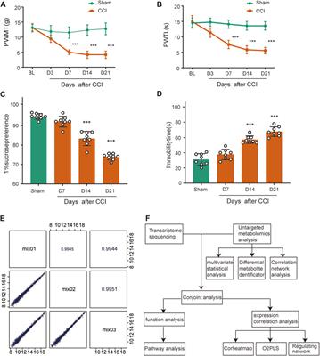 Combined metabolomics and transcriptomics analysis of rats under neuropathic pain and pain-related depression